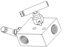 PGI Int'l Hard Seat Two Valve Block & Bleed Manifold